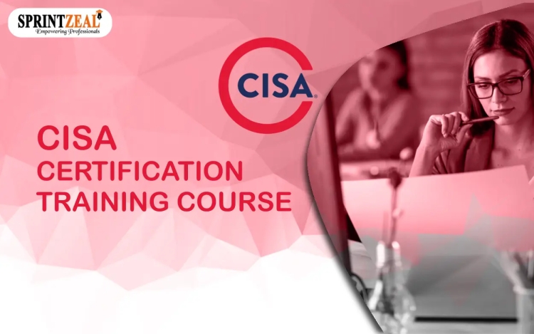 What Is the CISA Certification? (Importance and FAQ)