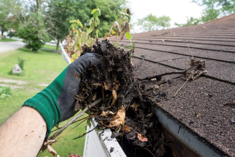 Stop Water Damage: Leaky Roof Repair and Gutter Cleaning in Sydney