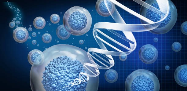 Global Biomaterials Market Analysis by Industry Players: Novo Nordisk, IFF, altM, Etc.