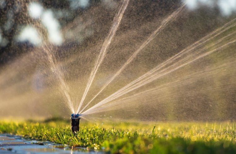 Why Should I Choose Professional Sprinkler Installation Near Me?